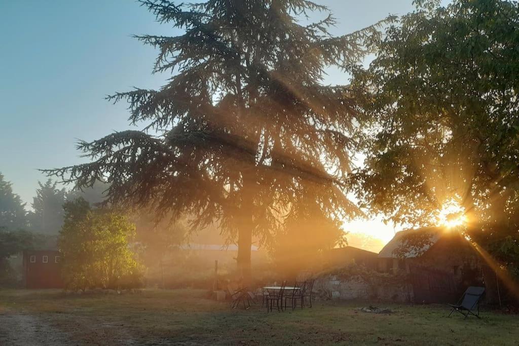Gite En Bord De Loire Blaison-Saint-Sulpice Екстериор снимка