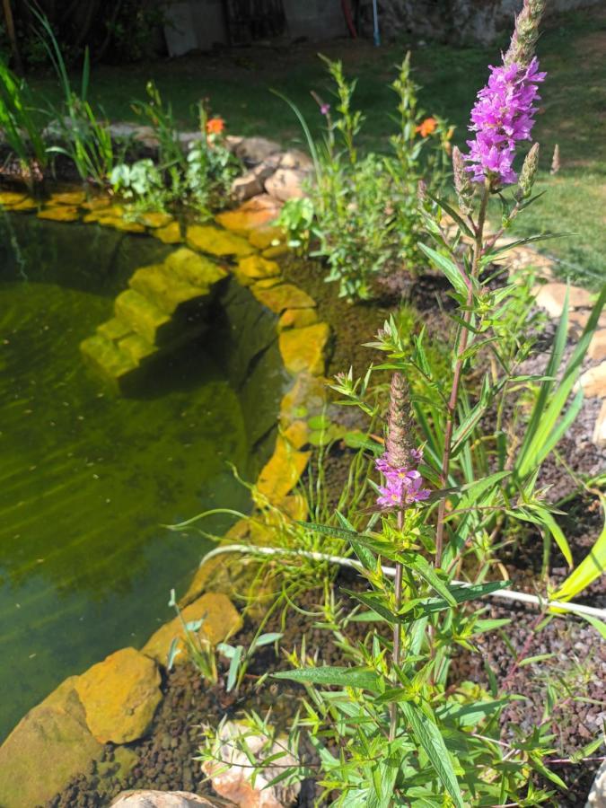 Gite En Bord De Loire Blaison-Saint-Sulpice Екстериор снимка